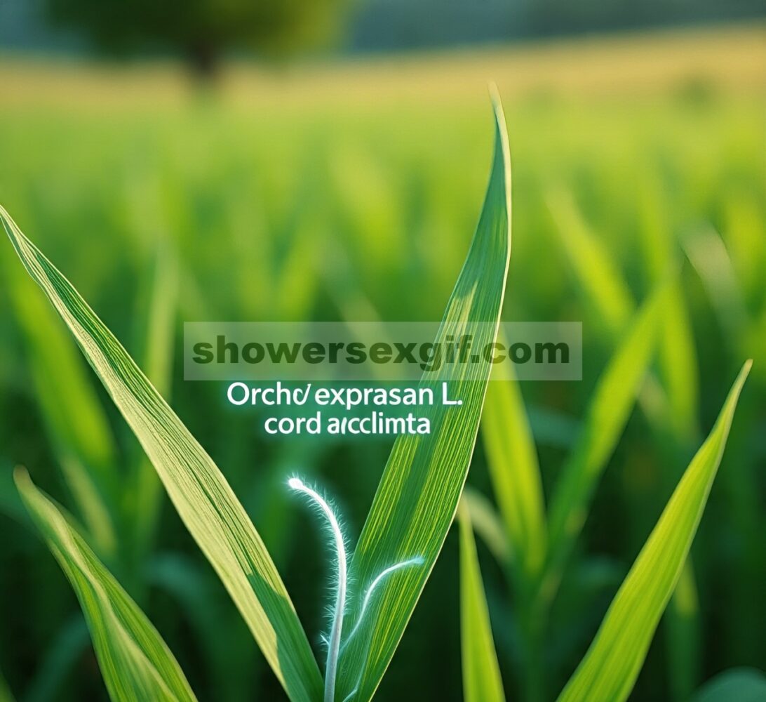 Ekspresi gen biosintesis fruktan pada aklimatisasi dingin pada rumput kebun ( Dactylis glomerata L.)