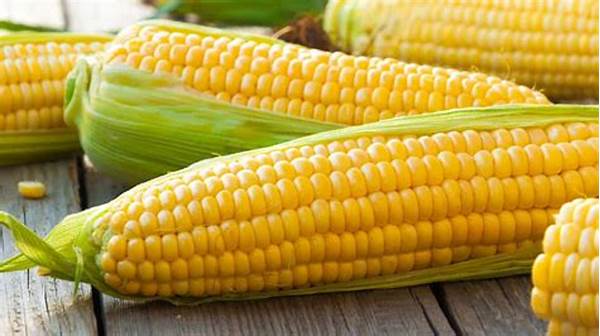 Jagung