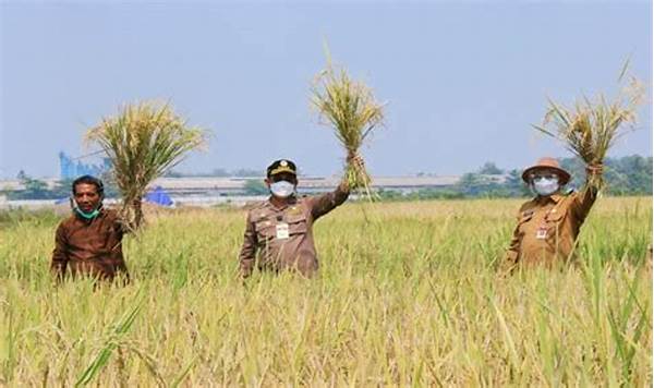 Mengelola Sawah Secara Digital