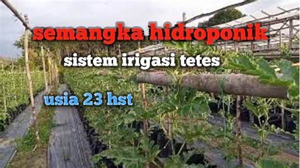 Sistem Tanam Semangka Otomatis