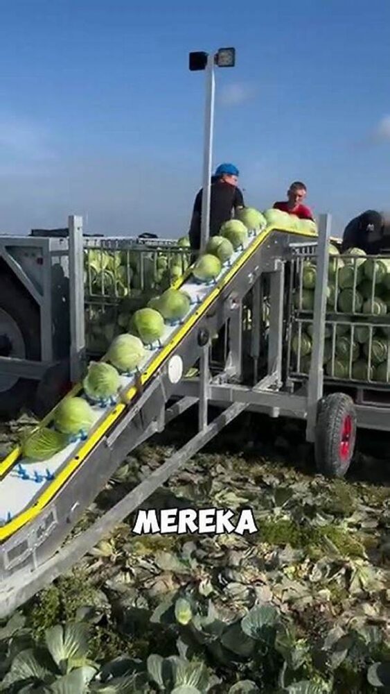 Teknik Panen Modern