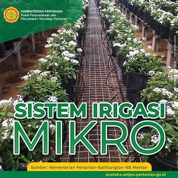 Mikro‑irigasi