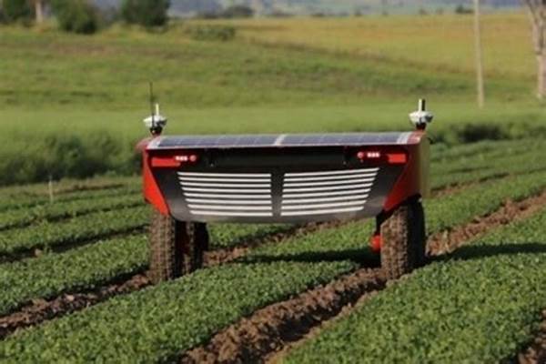Robot Pertanian