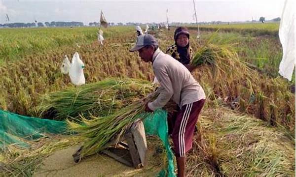 Pendapatan Petani