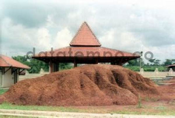 Tanah Kritis