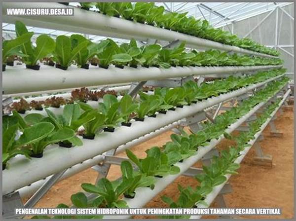 Teknologi Hidroponik