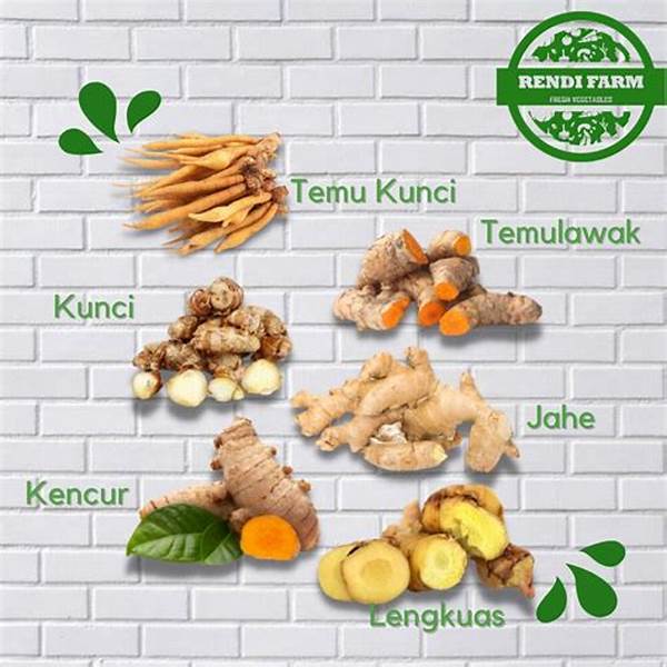 Jahe, Kunyit, Temulawak