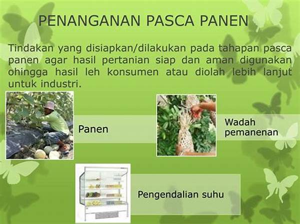 Pengawetan Pasca Panen