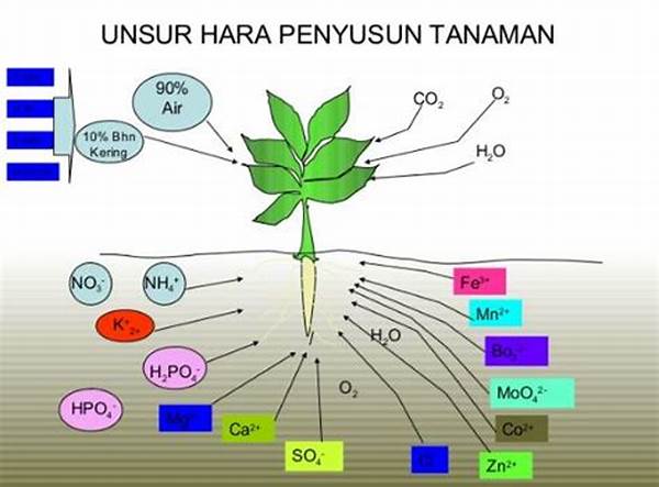 Pengayaan Unsur Hara