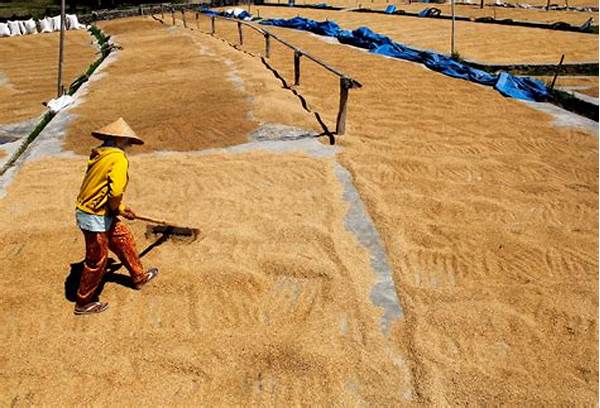 Pengeringan Hasil Panen