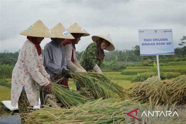 Pembiayaan Mikro Untuk Petani