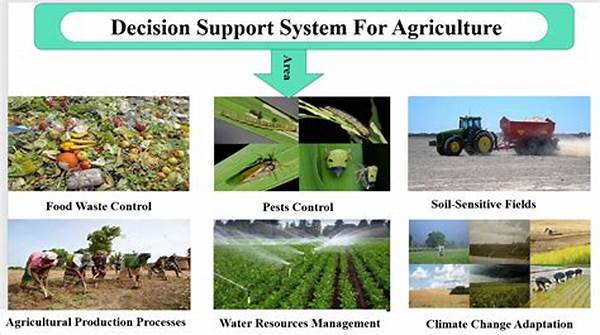 Decision Support System Pertanian