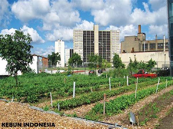 Kebun Kota