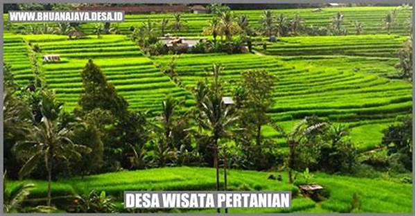 Wisata Desa Pertanian