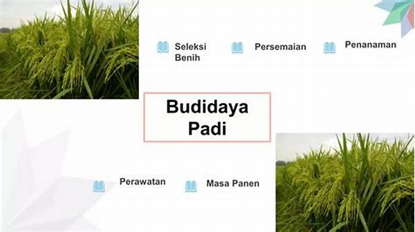 Teknis Budidaya Padi